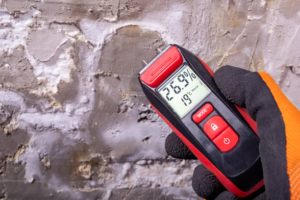 Best Mold Damage Repair  in Cambridge City, IN