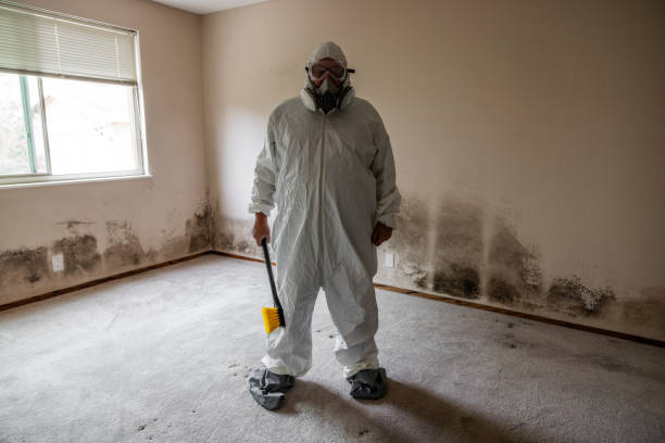 Mold Removal and Inspection in Cambridge City, IN